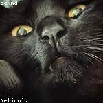 Carmella Ernser Profile Picture