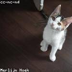 Reece Waelchi Profile Picture