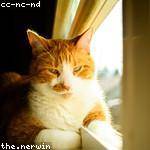 Terry Padberg Profile Picture