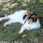 Mafalda Gerlach Profile Picture