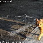 Bruce Witting Profile Picture