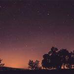 Erik Berge Profile Picture