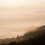 Barton McClure Profile Picture