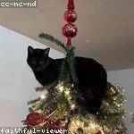 Claire Rogahn Profile Picture