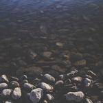 Cathy Strosin Profile Picture