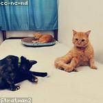 Lloyd Turner Profile Picture