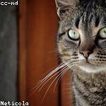 Geo Trantow Profile Picture