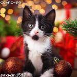 Marina Little Profile Picture