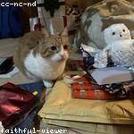 Annetta Watsica Profile Picture