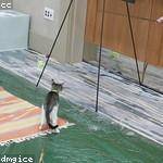 Domenick Lang Profile Picture