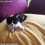 Laurine Green Profile Picture