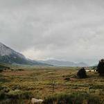 Lila Mohr Profile Picture