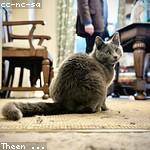 Eli Durgan Profile Picture