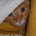 Marilie Howell Profile Picture