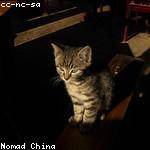 Chance Jacobson Profile Picture