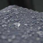 Abbigail Wiza Profile Picture