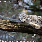 Joy Willms Profile Picture